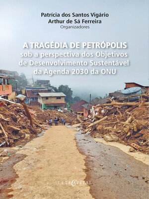 cover image of A tragédia de Petrópolis sob a perspectiva dos Objetivos de Desenvolvimento Sustentável da Agenda 2030 da ONU